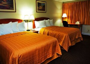 Quality Inn Airport Jacksonville , FL 32229 near Jacksonville International Airport View Point 6