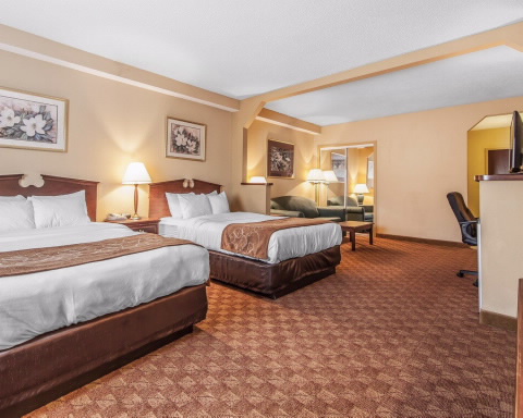 Comfort Suites Airport Alcoa , TN 37701 near Mcghee Tyson Airport View Point 7