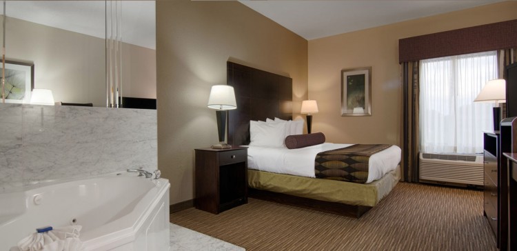 Best Western Plus O\'Hare International South Hotel , IL 60131 near Ohare International Airport View Point 8