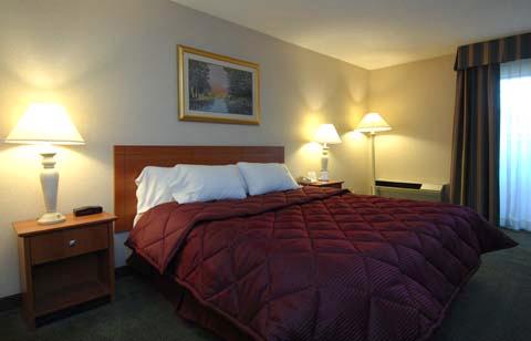 Quality Inn Airport East , TX 79915 near El Paso International Airport View Point 3