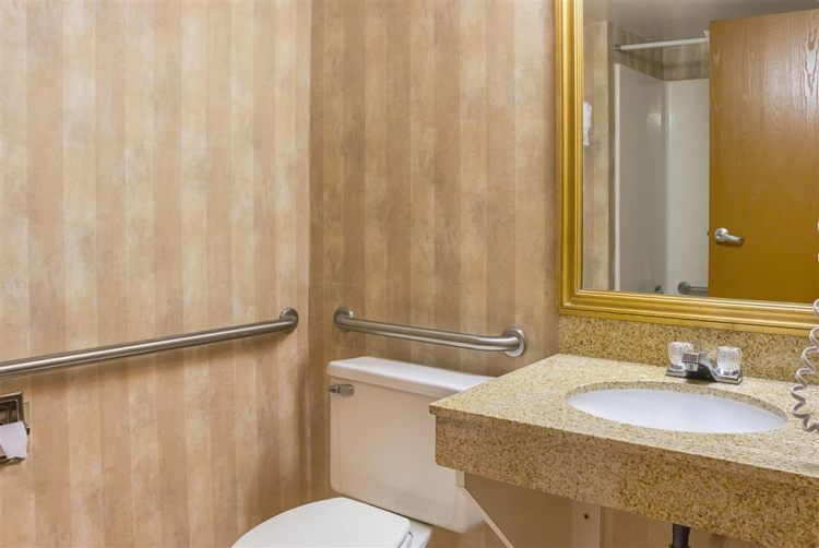 Quality Inn & Suites Detroit Metro Airport , MI 48174 near Detroit Metropolitan Wayne County Airport View Point 11