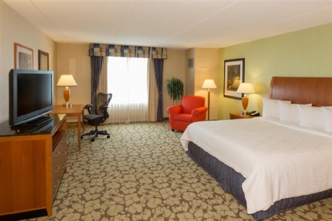 Hilton Garden Inn Buffalo Airport , NY 14225 near Buffalo Niagara International Airport View Point 23