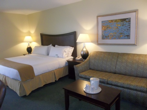 Holiday Inn Express Indianapolis Airport, an IHG Hotel , IN 46168 near Indianapolis International Airport View Point 13