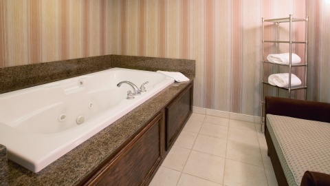 Holiday Inn Express Indianapolis Airport, an IHG Hotel , IN 46168 near Indianapolis International Airport View Point 16