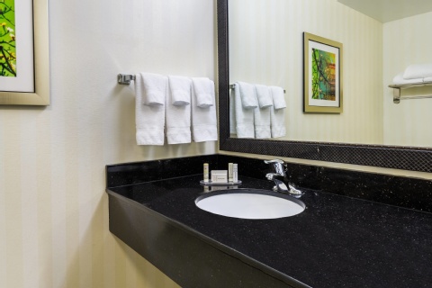 Fairfield Inn & Suites – Buffalo Airport , NY 14225 near Buffalo Niagara International Airport View Point 18