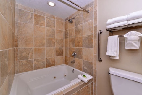 Holiday Inn Express Hotel & Suites Indianapolis  , IN 46224 near Indianapolis International Airport View Point 36