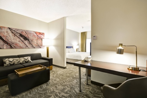 SpringHill Suites by Marriott San Antonio Medical Center/Northwest , TX 78201 near San Antonio International Airport View Point 21