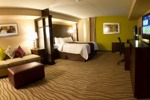 Fairfield Inn & Suites By Marriott Dallas Dfw Airport South/Irving