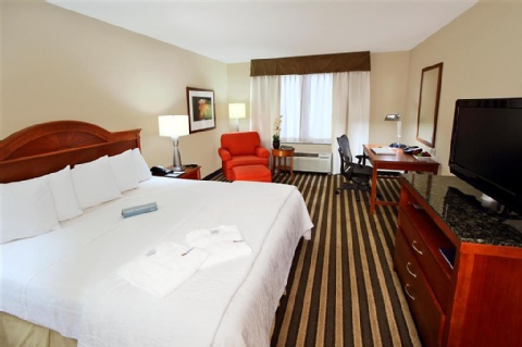 Hilton Garden Inn Ft. Lauderdale Airport-Cruise Port , FL 33004 near Fort Lauderdale-hollywood International Airport View Point 18