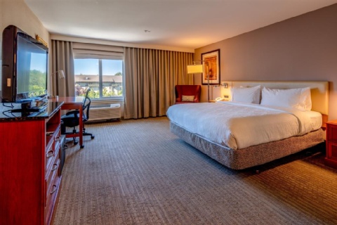 Hilton Garden Inn Seattle/Renton , WA 98057 near Seattle-tacoma International Airport View Point 14