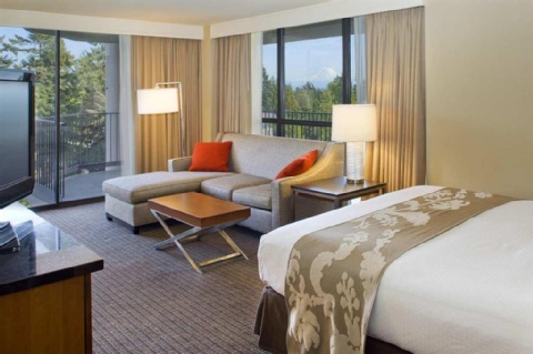 DoubleTree by Hilton Seattle Airport , WA 98188 near Seattle-tacoma International Airport View Point 21