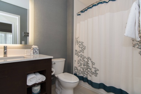 Residence Inn by Marriott Raleigh-Durham Airport/Brier Creek , NC 27617 near Raleigh-durham International Airport View Point 33