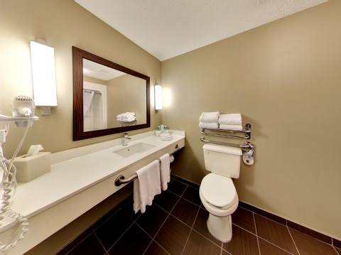 Holiday Inn Express Hotel & Suites - Edmonton International Airport, an IHG Hotel , AB T9E 8E2 near Edmonton International Airport View Point 81