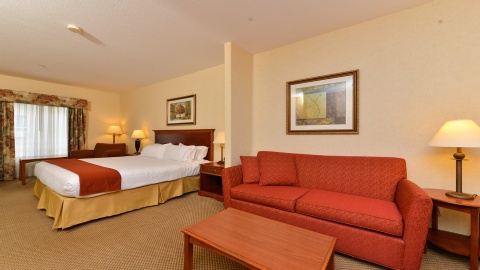 Holiday Inn Express Hotel & Suites - Edmonton International Airport, an IHG Hotel , AB T9E 8E2 near Edmonton International Airport View Point 98