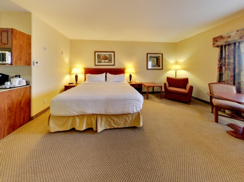 Holiday Inn Express Hotel & Suites - Edmonton International Airport, an IHG Hotel , AB T9E 8E2 near Edmonton International Airport View Point 105