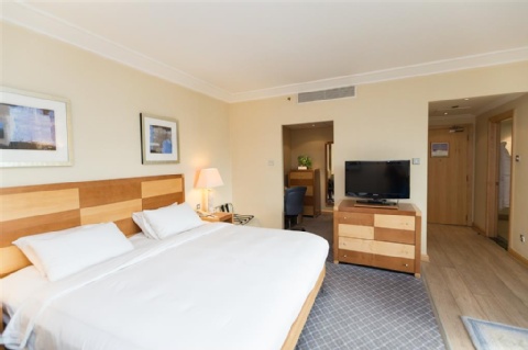 Hilton London Gatwick Airport ,  RH6 0LL near Gatwick Airport View Point 30