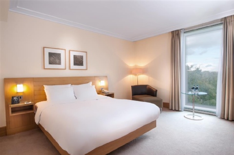 Hilton London Gatwick Airport ,  RH6 0LL near Gatwick Airport View Point 36