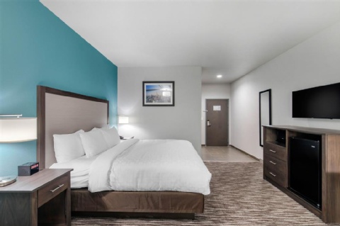 Clarion Inn & Suites DFW North , TX 75063 near Dallas-fort Worth International Airport View Point 34