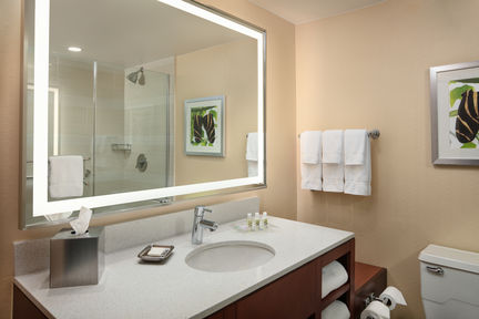 Holiday Inn Austin -Town Lake, an IHG Hotel , TX 78701 near Austin-bergstrom International Airport View Point 4