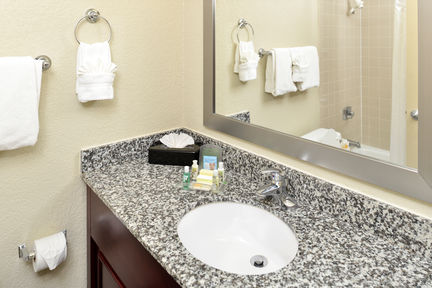 Holiday Inn St Petersburg N - Clearwater , FL 33762 near St. Petersburg-clearwater International Airport View Point 4