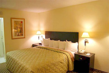 Days Inn Irving Grapevine DFW Airport North , TX 75034 near Dallas-fort Worth International Airport View Point 6