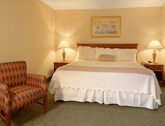 Holiday Inn Indianapolis Airport N.  , IN 46241 near Indianapolis International Airport View Point 5