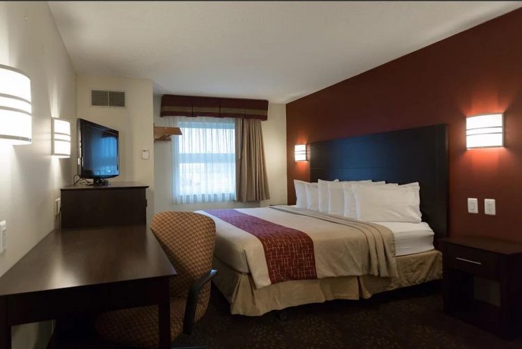 Travelodge Romulus Detroit Airport , Detroit 48174 near Detroit Metropolitan Wayne County Airport View Point 4