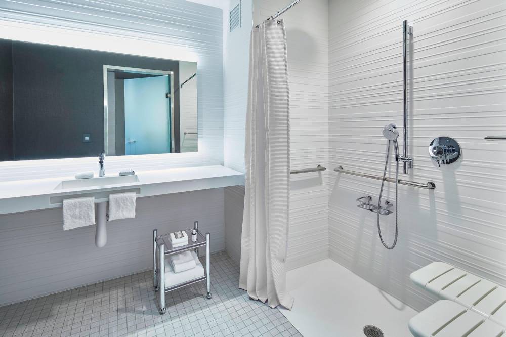 Accessible Guest Room Bathroom