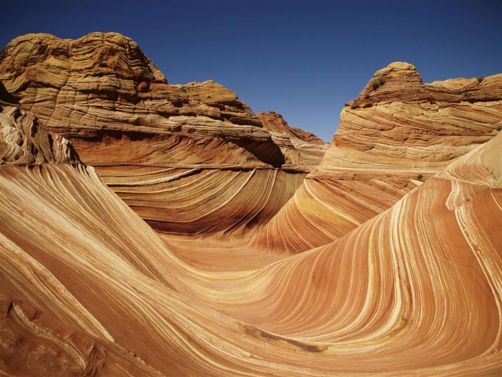 Best Western View Of Lake Powell Hotel 10