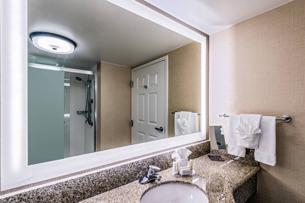 Guest Bathroom - Walk-In Shower