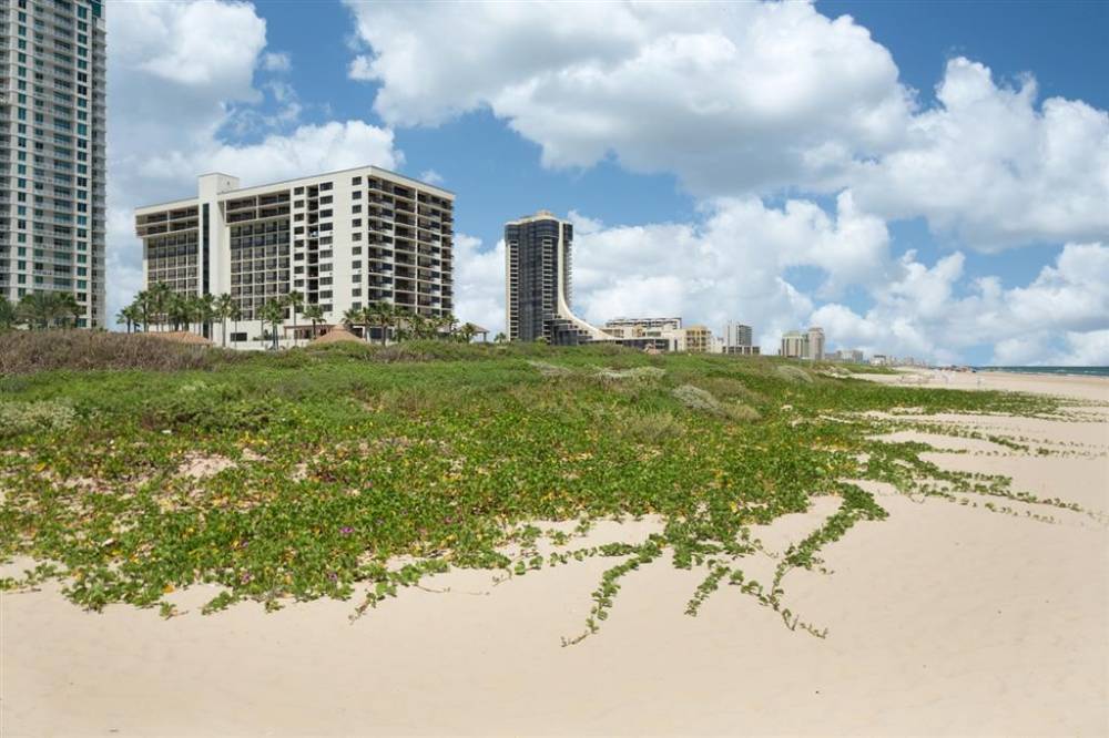 Hotel Exterior from Beach