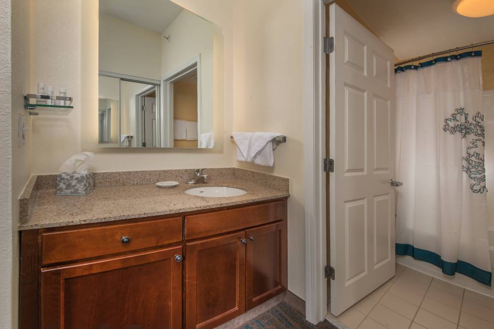 Bathroom Vanity Area