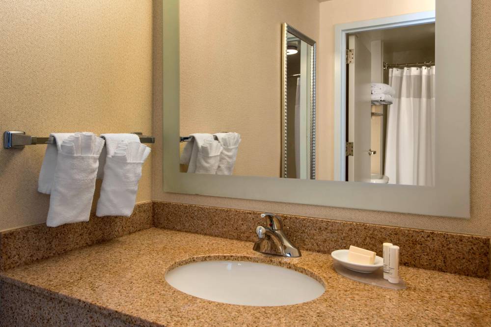 Suite Bathroom