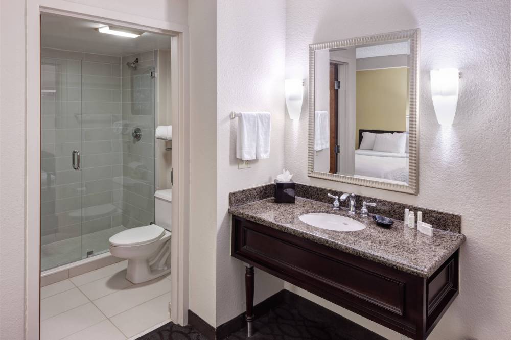 Springhill Suites By Marriott Dallas Downtown-west End 1