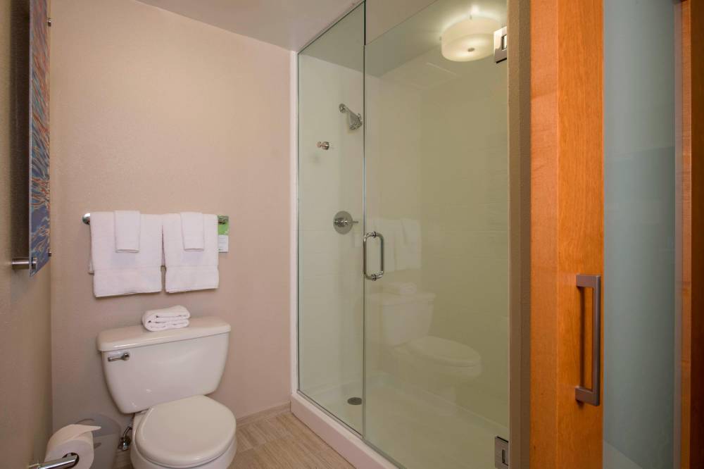 Suite Bathroom - Shower