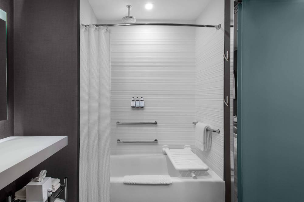 King Accessible Bathroom - Tub/Shower Combo