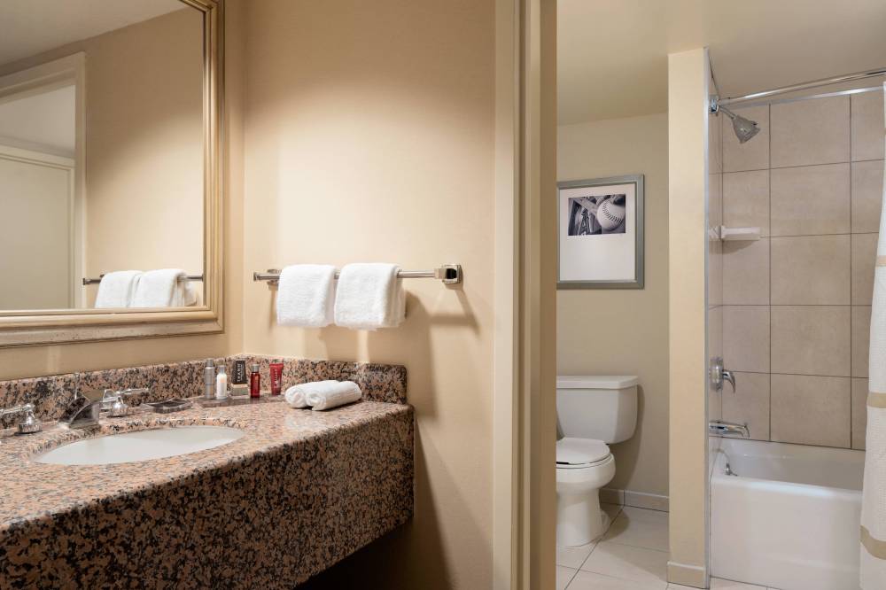 Suite Bathroom