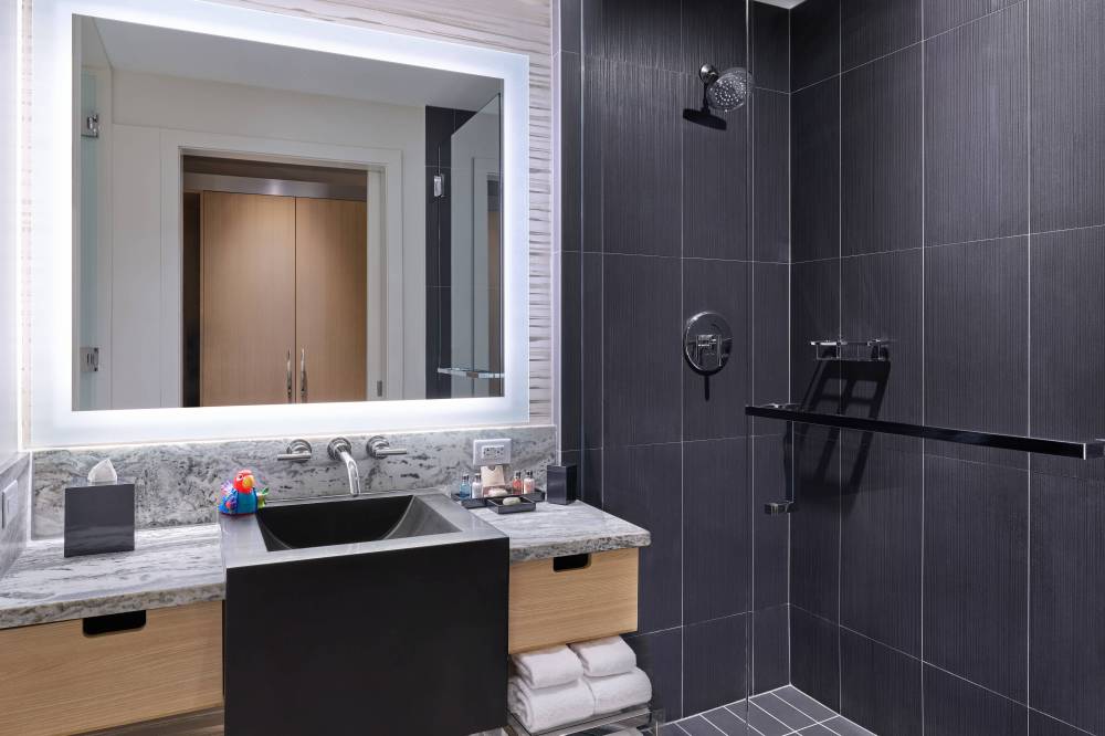 King Premium Guest Bathroom