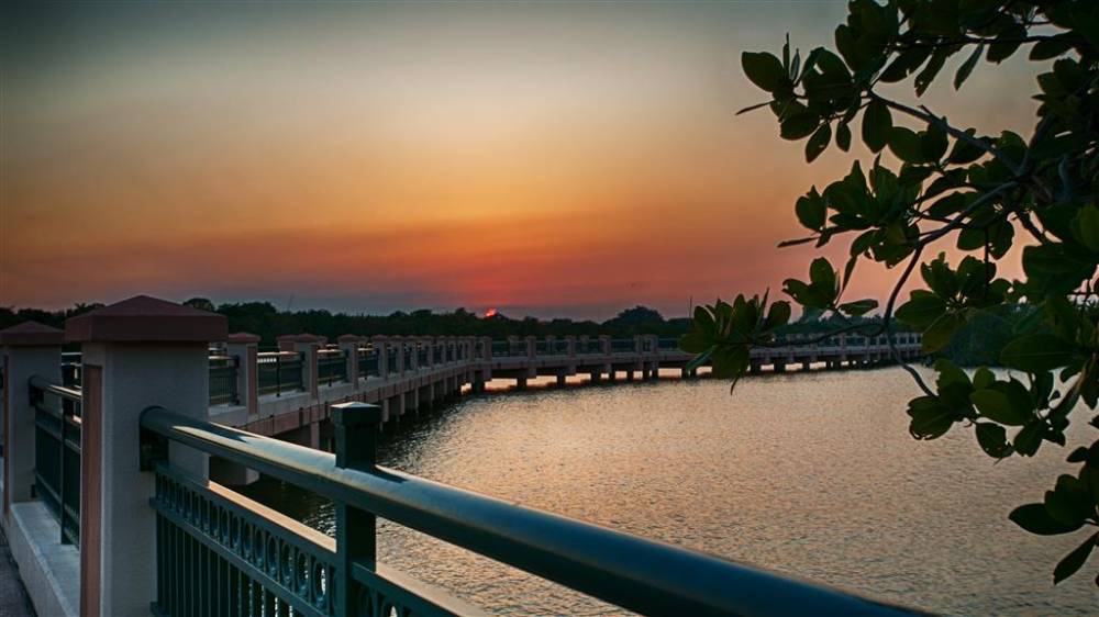 Best Western Intracoastal Inn 7