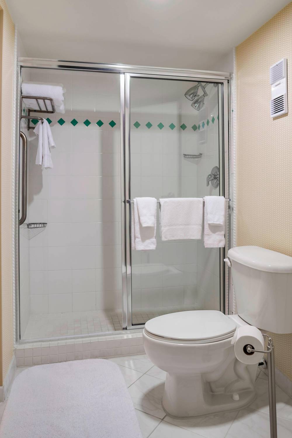 Guest Bathroom - Walk-In Shower