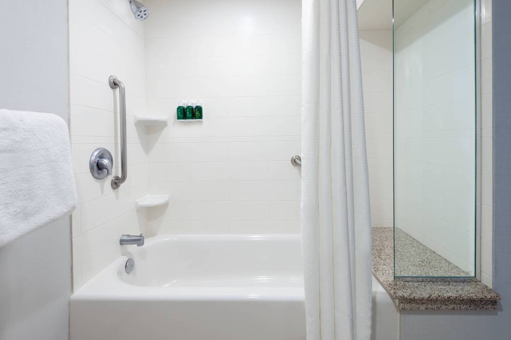 Guest Bathroom -Tub