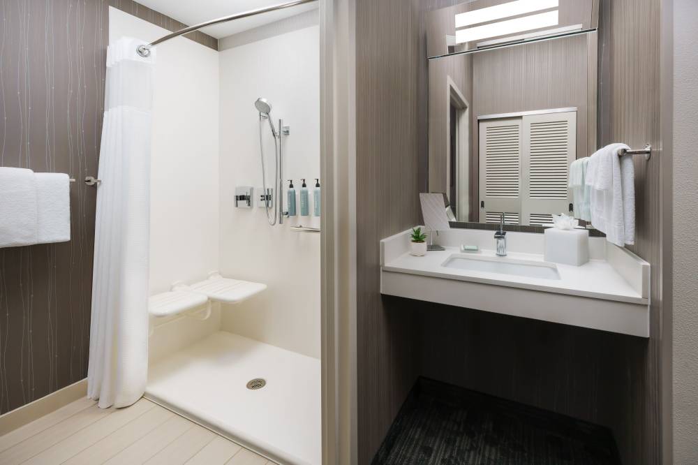 Accessible Guest Bathroom - Roll-in Shower