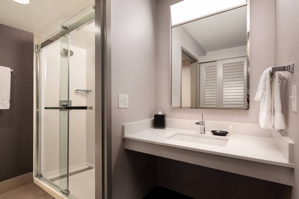 Guest Bathroom - Walk-In Shower