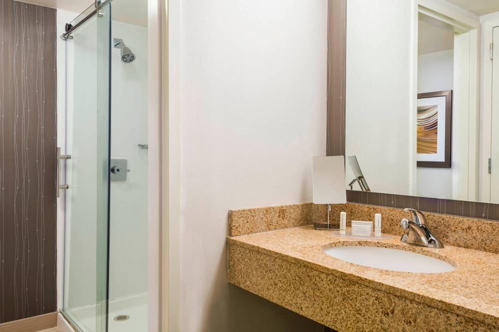 Guest Bathroom with Shower