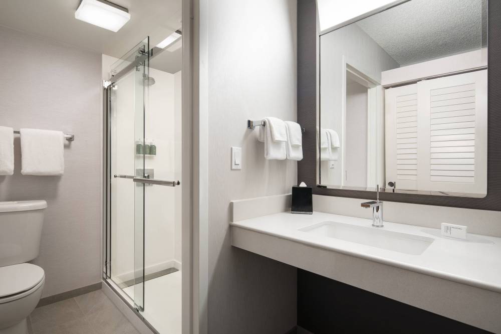 Guest Bathroom - Walk-In Shower