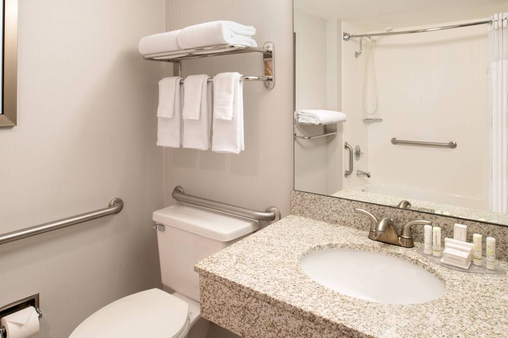 Accessible Guest Room - Bathroom