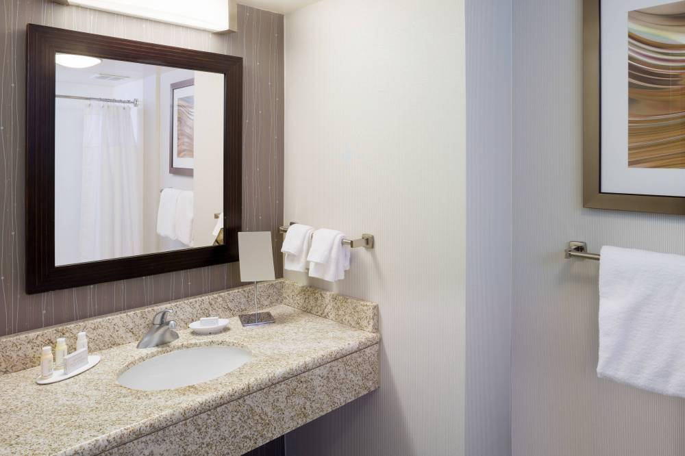 Deluxe King Guest Bathroom