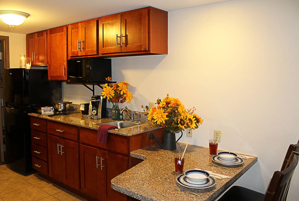 Crystal Springs Staged Kitchen