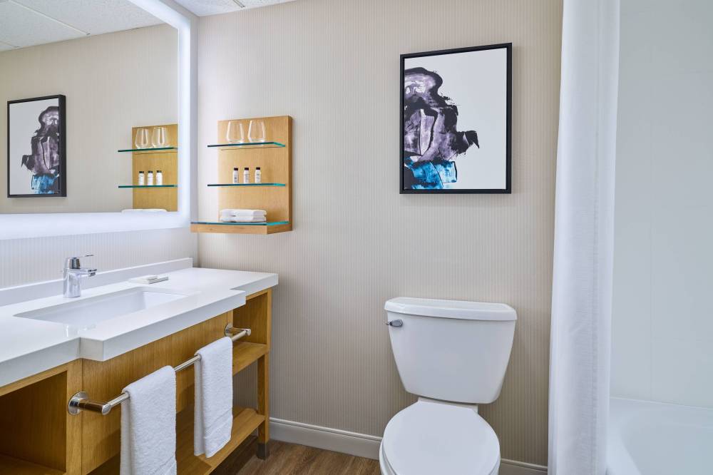 Guest Bathroom -Shower/Tub Combo