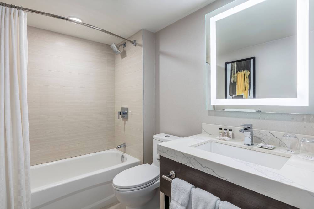 Suite Bathroom - Bathtub & Shower